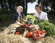 Good Food & Highlights Tour - 8 dagen